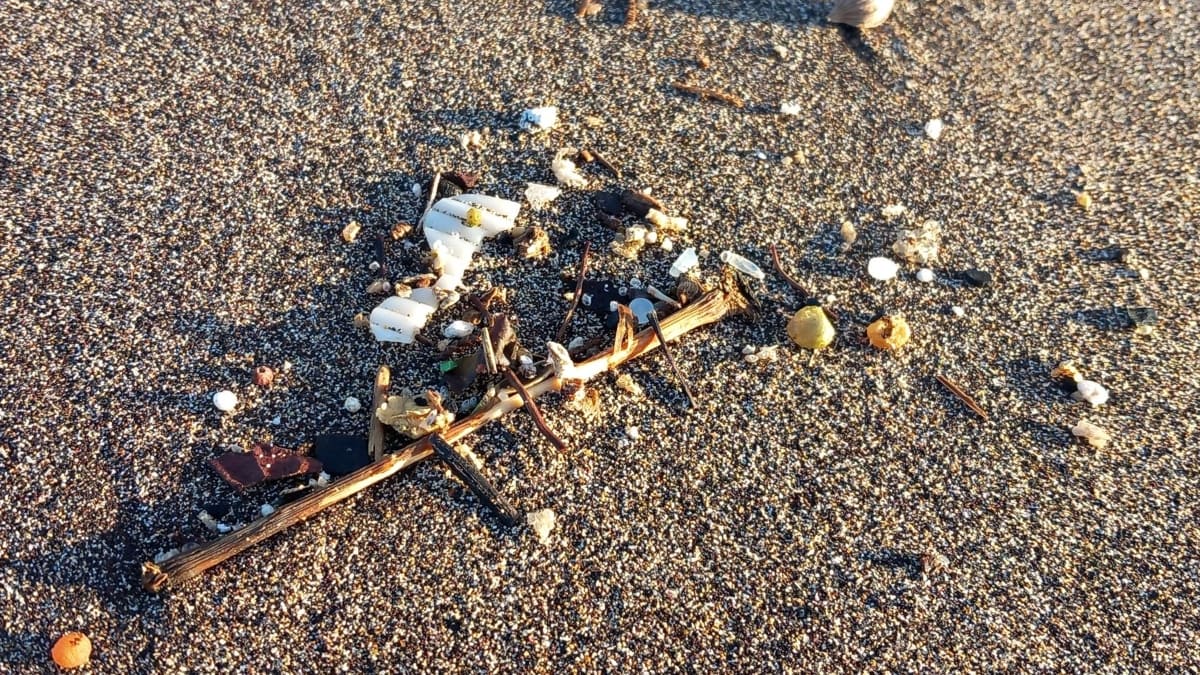 La ONU advierte del daño de los microplásticos y ‘pellets’ en humanos y animales marinos
