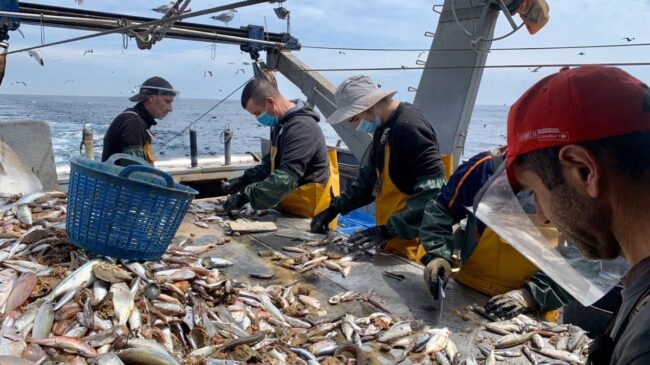 La UE ofrece fondos a España para compensar la prohibición de pesca en aguas francesas