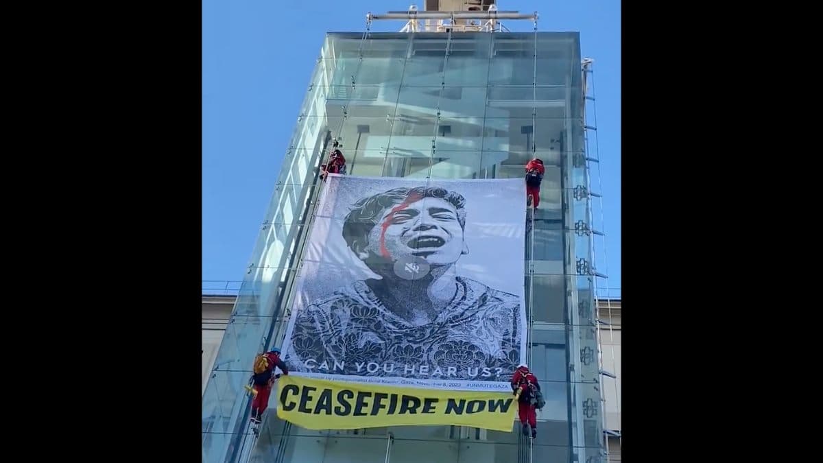 Activistas de Greenpeace escalan el Museo Reina Sofía para pedir alto el fuego en Gaza