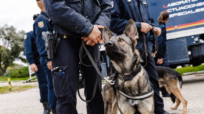 La Policía Nacional destina 140.000 euros a comprar 45 perros para sus unidades caninas