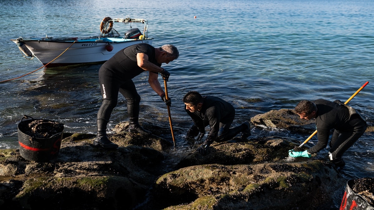 Los pescadores cargan contra el Gobierno por la crisis de los 'pellets': «Dañan nuestro trabajo»