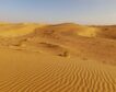 El Sahara no siempre fue un desierto