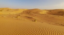 El Sahara no siempre fue un desierto