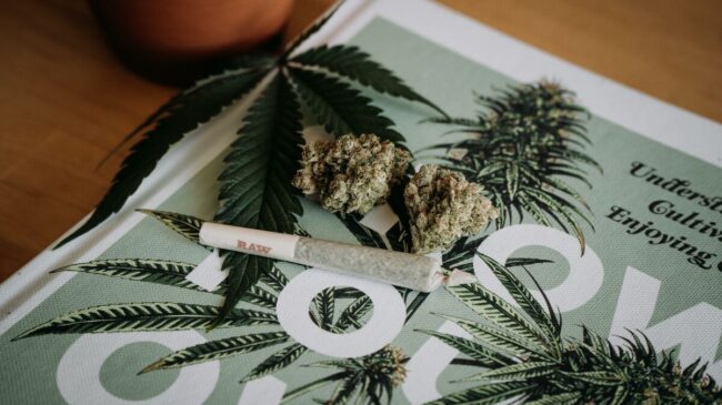 Podemos lanza una propuesta de ley para regular el cannabis recreativo: «Urge»