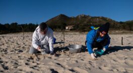 Una asociación ecologista pide movilizar a la UME para retirar plásticos de la costa gallega