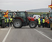 Las paradojas del sector agrario europeo y las protestas de sus agricultores
