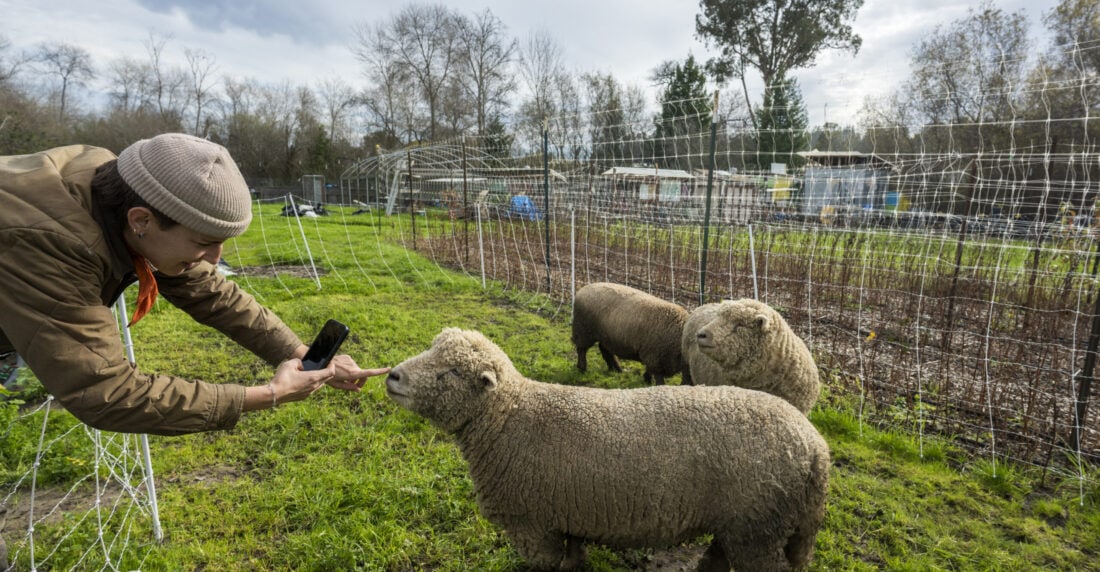 Facebook cumple 20 años: historia de una red que cambió relaciones entre la gente
