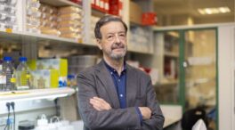 Investigadores españoles desarrollan una inmunoterapia para tratar el mieloma múltiple
