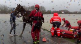 Los bomberos rescatan en zodiac un caballo atrapado en una finca inundada de Vitoria