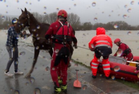 Los bomberos rescatan en zodiac un caballo atrapado en una finca inundada de Vitoria