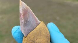 Los neandertales usaban ‘pegamento’ para unir partes de sus herramientas