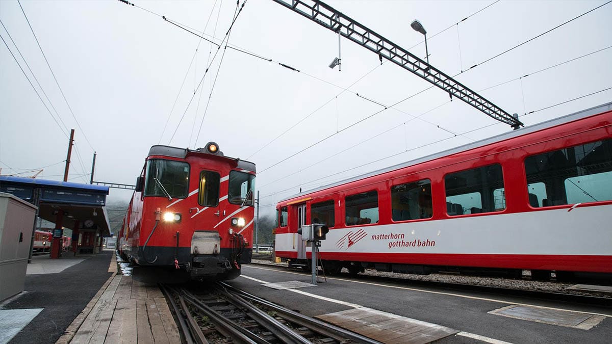 Abatido en Suiza un hombre armado con un hacha que tomó 15 rehenes en un tren