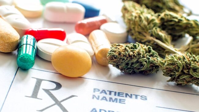 Sanidad inicia los trámites para aprobar la regulación del cannabis medicinal en España