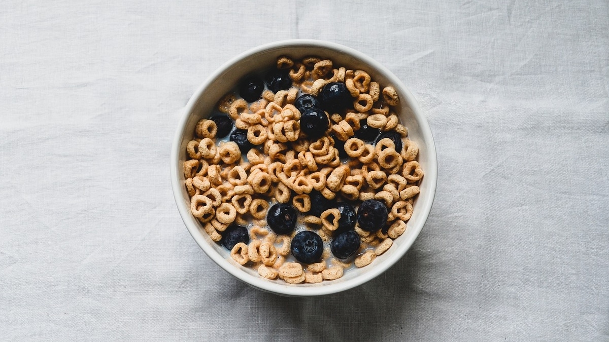 Cereales Fitness, una opción nutritiva para el desayuno - THE FOOD