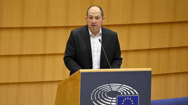 Bildu propone a un condenado por pertenencia a ETA como cabeza de lista en las europeas