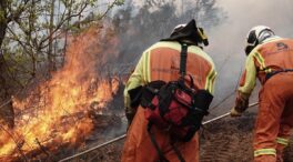 El fuego arrasó 89.068 hectáreas en 2023, un 67% menos que hace un año