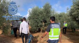 Quince detenidos en Sevilla por explotar a extranjeros en el campo «hasta la extenuación»