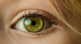 Las potenciales violaciones a la intimidad en la cesión de datos del iris