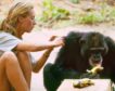 Jane Goodall, embajadora en el reino de los simios
