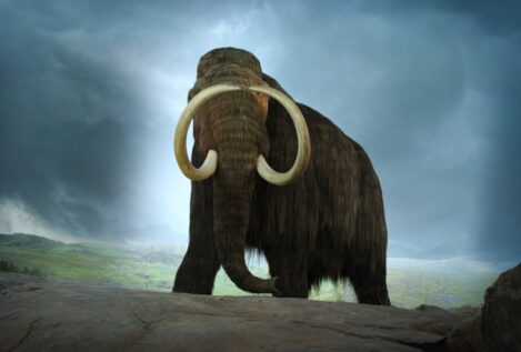 Cuando los mamuts dominaban la Tierra