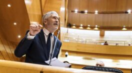 El PSOE culpa a Marlaska del 18-F por su gestión en Barbate: «Nos desangró en Galicia»