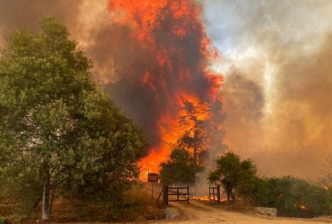 Aumentan a 112 los muertos por los incendios forestales que asolan Valparaíso (Chile)
