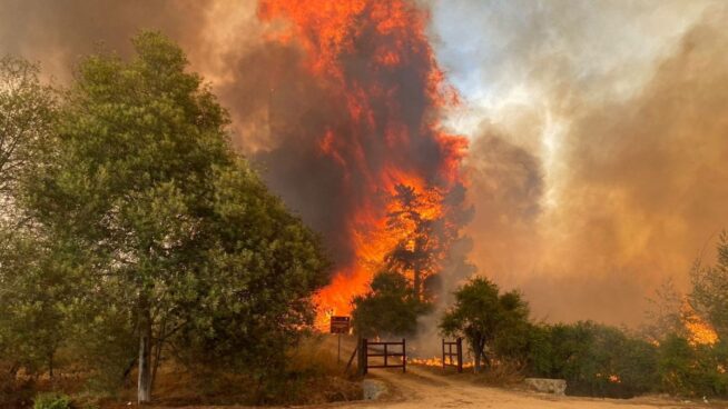 Aumentan a 112 los muertos por los incendios forestales que asolan Valparaíso (Chile)
