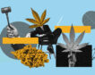 Legalizar el cannabis: ¿para qué y cómo?