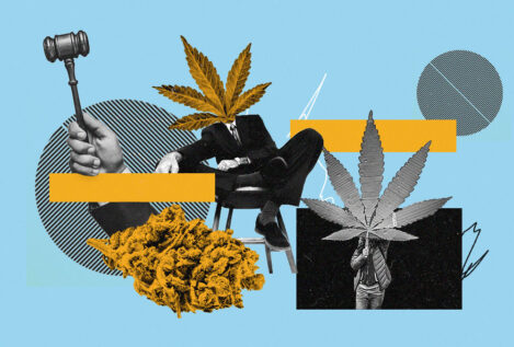 Legalizar el cannabis: ¿para qué y cómo?