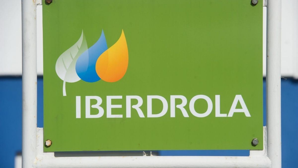 Iberdrola pide abrir el desarrollo de las redes eléctricas a otros operadores privados