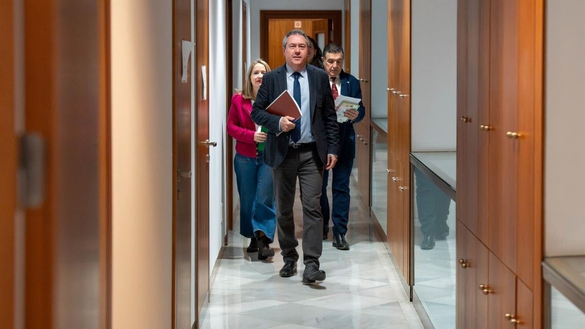 El PSOE estudia denunciar el «despropósito» de la comisión del caso Koldo en el Senado