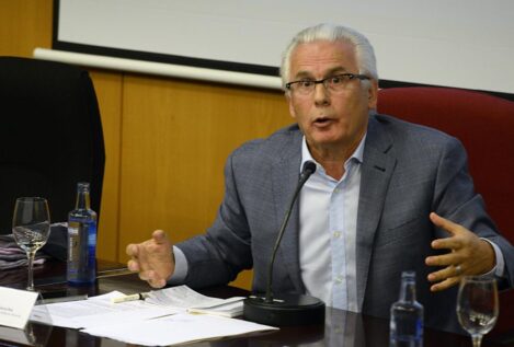 Baltasar Garzón asegura que la Ley de Amnistía es «plenamente constitucional»