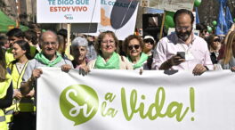 Más de 500 asociaciones se manifiestan contra el aborto este domingo en Madrid