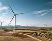 Iberdrola, CIP, Ørsted y Statkraft, líderes en la producción de energía eólica en Europa