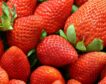 Piden medidas urgentes ante la presencia de hepatitis A en fresas de Marruecos