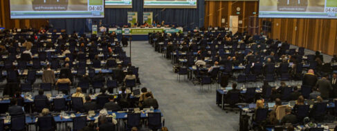 Un alto funcionario de la ONU tacha de "ilegales" las elecciones de Rusia en la Ucrania ocupada