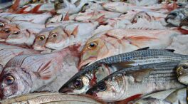 El pescado rico en omega-3 y vitamina B12 que Sanidad recomienda consumir
