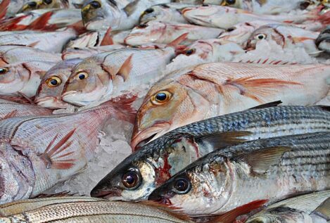 El pescado rico en omega-3 y vitamina B12 que Sanidad recomienda consumir