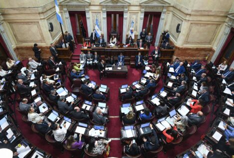 El Senado de Argentina rechaza el decreto de desregularización de la economía de Milei