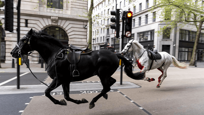 El desbocamiento de varios caballos en  Londres provoca al menos cuatro heridos