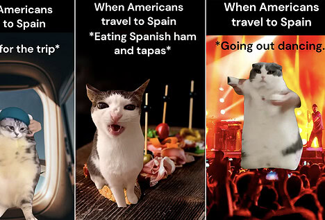 Polémica en Exteriores por un vídeo en el que se identifica a los estadounidenses con gatos