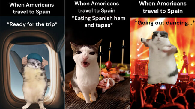 Polémica en Exteriores por un vídeo en el que se identifica a los estadounidenses con gatos