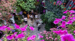 Los Patios de Córdoba: donde flores, historia y agua dialogan desde hace más de un siglo