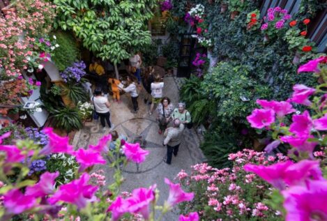 Los Patios de Córdoba: donde flores, historia y agua dialogan desde hace más de un siglo