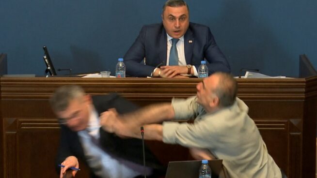 El jefe de la oposición de Georgia le pega un puñetazo al líder del partido de gobierno