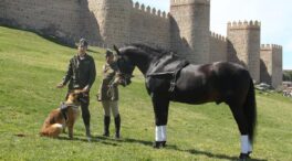 Defensa estrena himno para su unidad de caballos y perros: «Pura raza de España»