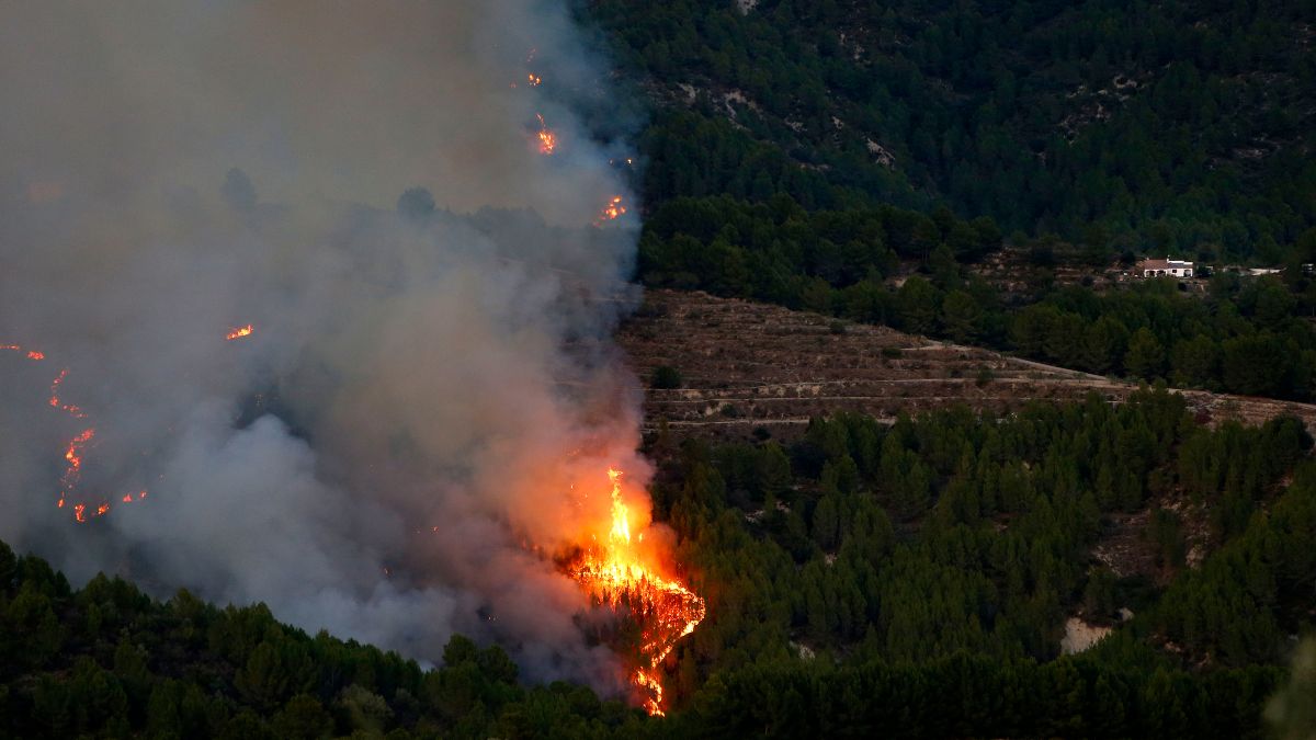 Continúa activo el incendio declarado en la Sierra de Alicante: 800 hectáreas quemadas