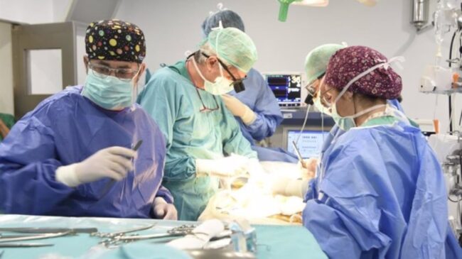 Nuevo récord de trasplantes en España: 48 en solo 24 horas, entre ellos a tres niños