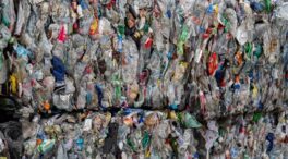 Encuesta | ¿Está a favor de la prohibición de plásticos de un solo uso?