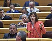 ERC insiste en el Senado en que «el referéndum es inevitable», igual que sucedió con la amnistía